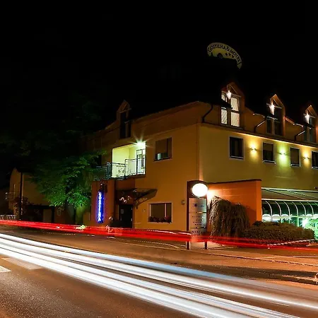 Pensjonat Gostilna In Pri Lesniku