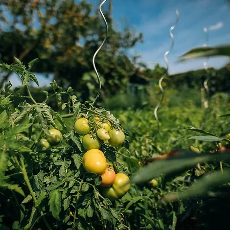 Maison d'hôtes Gostilna In Pri Lesniku Maribor