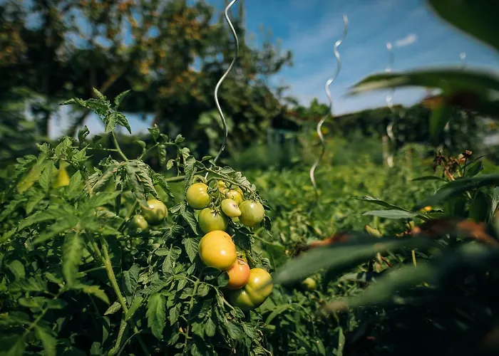 Pensjonat Gostilna In Pri Lesniku Maribor